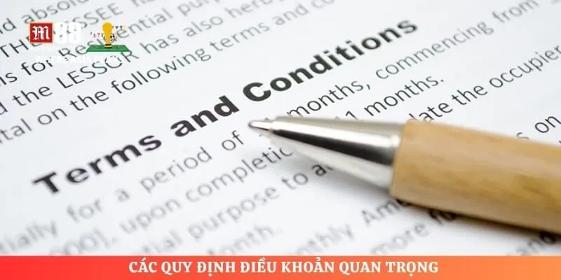 Các quy định điều khoản quan trọng