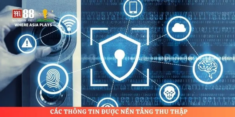 Các thông tin được nền tảng thu thập