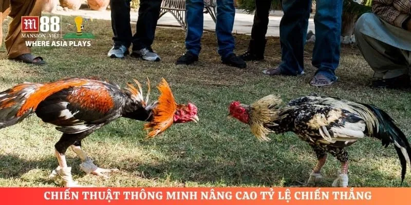 Chiến thuật thông minh nâng cao tỷ lệ chiến thắng