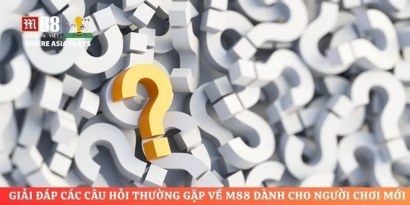 Giải đáp các câu hỏi thường gặp về M88 dành cho người chơi mới