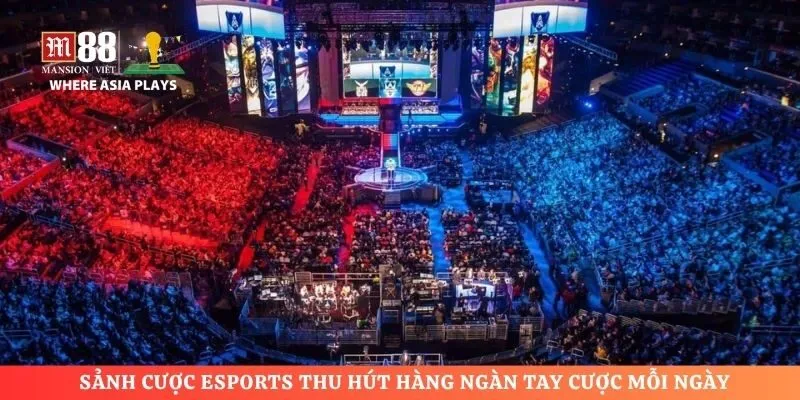 Sảnh cược Esports thu hút hàng ngàn tay cược mỗi ngày
