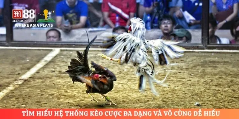 Tìm hiểu hệ thống kèo cược đa dạng và vô cùng dễ hiểu