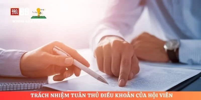 Trách nhiệm tuân thủ điều khoản của hội viên